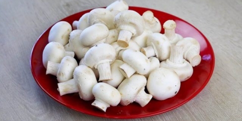 Kako brzo i ukusno kiseliti šampinjone kod kuće: recepti sa fotografijama s lukom, bijelim lukom